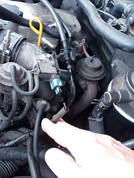 Click image for larger version

Name:	engine bay1.jpg
Views:	235
Size:	28.0 KB
ID:	1273439