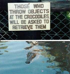 Click image for larger version

Name:	Croc.jpg
Views:	257
Size:	15.8 KB
ID:	1231170