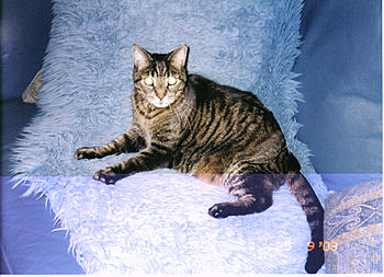 Click image for larger version

Name:	boots.jpg
Views:	137
Size:	370.7 KB
ID:	1231492
