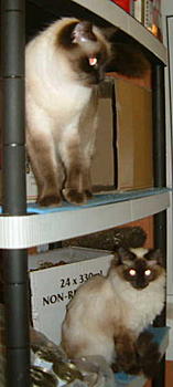 Click image for larger version

Name:	3.JPG
Views:	186
Size:	18.6 KB
ID:	1231509