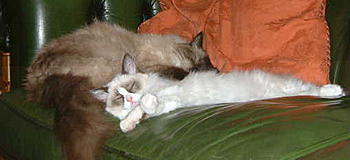 Click image for larger version

Name:	5.JPG
Views:	182
Size:	14.9 KB
ID:	1231511