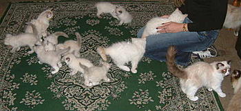 Click image for larger version

Name:	6.JPG
Views:	182
Size:	30.5 KB
ID:	1231512