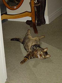 Click image for larger version

Name:	DSC00025.jpg
Views:	205
Size:	24.3 KB
ID:	1231587