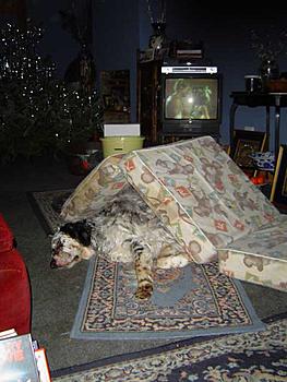 Click image for larger version

Name:	DSC00027.jpg
Views:	194
Size:	36.0 KB
ID:	1231588