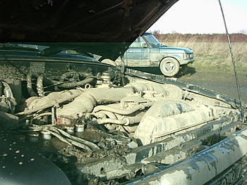 Click image for larger version

Name:	IMAGE0020.JPG.JPG
Views:	226
Size:	170.2 KB
ID:	1231699