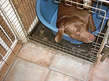 Click image for larger version

Name:	Benson 009.jpg
Views:	139
Size:	183.5 KB
ID:	1232412