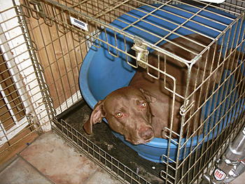 Click image for larger version

Name:	Benson 011.jpg
Views:	148
Size:	206.7 KB
ID:	1232413