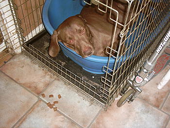 Click image for larger version

Name:	Benson 012.jpg
Views:	151
Size:	185.2 KB
ID:	1232414