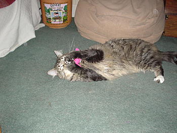 Click image for larger version

Name:	DSC00303.JPG
Views:	119
Size:	276.7 KB
ID:	1232528