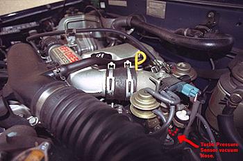 Click image for larger version

Name:	vacum hoses.JPG
Views:	244
Size:	37.8 KB
ID:	1233340
