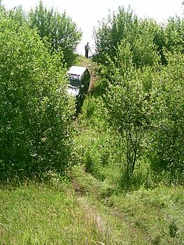 Click image for larger version

Name:	Jul13113.JPG
Views:	140
Size:	246.0 KB
ID:	1233462