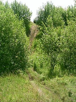 Click image for larger version

Name:	Peek.JPG
Views:	153
Size:	249.4 KB
ID:	1233465