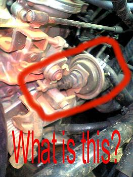 Click image for larger version

Name:	Photo 2.jpg
Views:	641
Size:	71.0 KB
ID:	1233626