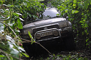 Click image for larger version

Name:	IMG_3478.jpg
Views:	152
Size:	349.4 KB
ID:	1233698