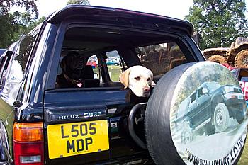 Click image for larger version

Name:	Lindas dogs.jpg
Views:	239
Size:	143.4 KB
ID:	1233780