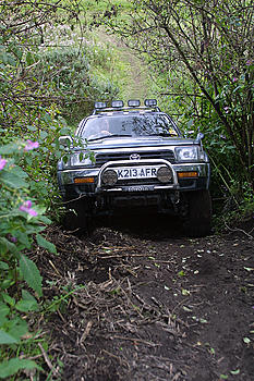 Click image for larger version

Name:	IMG_3652.jpg
Views:	148
Size:	389.2 KB
ID:	1233896