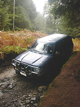 Click image for larger version

Name:	grizedale2.jpg
Views:	139
Size:	93.0 KB
ID:	1234112