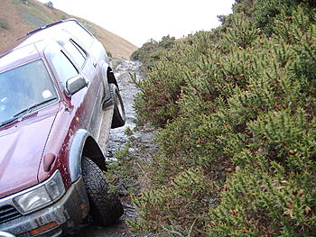 Click image for larger version

Name:	wales 30_12_04 015.jpg
Views:	157
Size:	355.3 KB
ID:	1235016