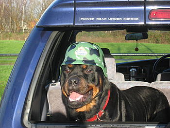 Click image for larger version

Name:	Picture 044.jpg
Views:	189
Size:	237.3 KB
ID:	1235177