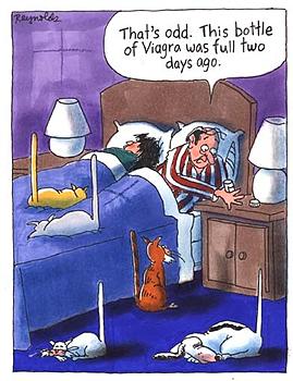 Click image for larger version

Name:	20964-c.jpg
Views:	174
Size:	57.2 KB
ID:	1237304