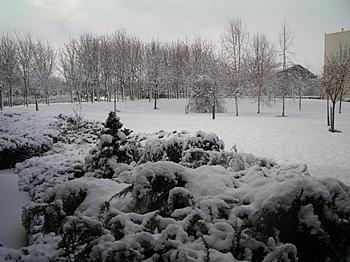 Click image for larger version

Name:	CIMG0475a.JPG
Views:	142
Size:	279.6 KB
ID:	1237502