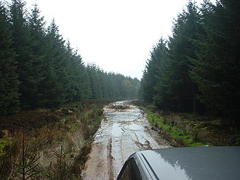 Click image for larger version

Name:	DSCF0004.JPG
Views:	192
Size:	383.9 KB
ID:	1238071