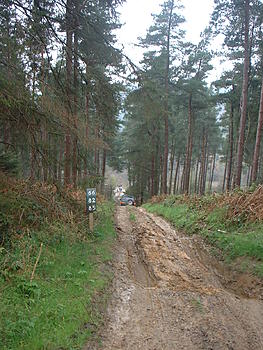 Click image for larger version

Name:	DSCF0007.JPG
Views:	190
Size:	357.1 KB
ID:	1238072