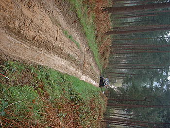 Click image for larger version

Name:	DSCF0008.JPG
Views:	189
Size:	364.3 KB
ID:	1238073