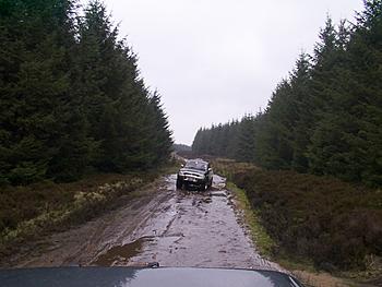 Click image for larger version

Name:	Dcp_0043.jpg
Views:	140
Size:	80.5 KB
ID:	1238159