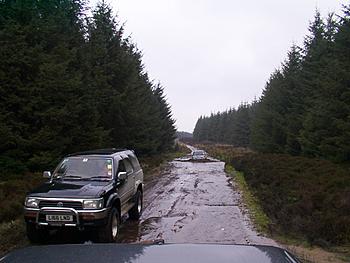 Click image for larger version

Name:	Dcp_0044.jpg
Views:	178
Size:	79.4 KB
ID:	1238168