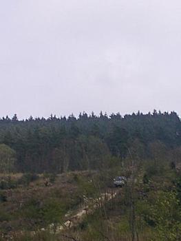 Click image for larger version

Name:	Dcp_0127.jpg
Views:	134
Size:	36.4 KB
ID:	1238178
