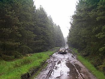 Click image for larger version

Name:	Dcp_0100.jpg
Views:	124
Size:	77.6 KB
ID:	1238188