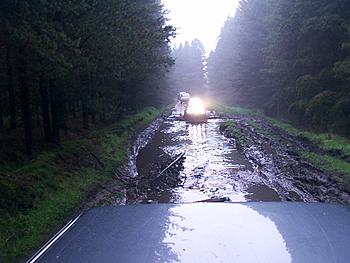 Click image for larger version

Name:	Dcp_0103.jpg
Views:	135
Size:	80.6 KB
ID:	1238189