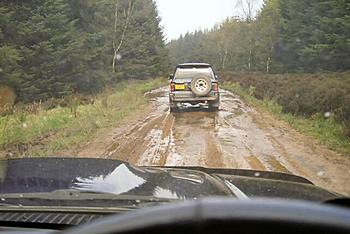 Click image for larger version

Name:	forest track.jpg
Views:	175
Size:	113.2 KB
ID:	1238246
