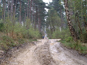 Click image for larger version

Name:	Langdale Quest 005.jpg
Views:	161
Size:	130.7 KB
ID:	1238261