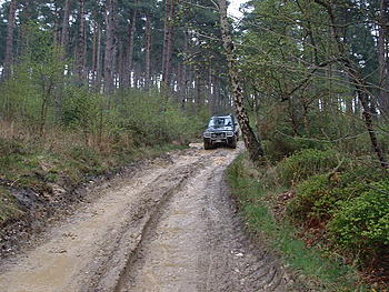 Click image for larger version

Name:	Langdale Quest 010.jpg
Views:	139
Size:	123.6 KB
ID:	1238266