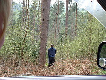 Click image for larger version

Name:	Langdale Quest 015.jpg
Views:	161
Size:	132.7 KB
ID:	1238270