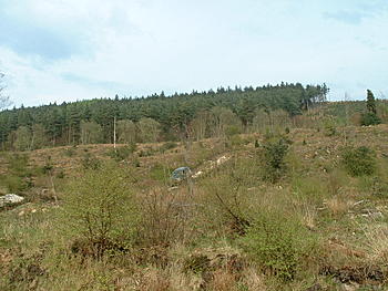 Click image for larger version

Name:	Langdale Quest 018.jpg
Views:	148
Size:	128.0 KB
ID:	1238271