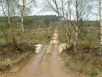 Click image for larger version

Name:	Langdale Quest 025.jpg
Views:	153
Size:	128.9 KB
ID:	1238277