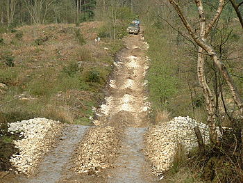Click image for larger version

Name:	Langdale Quest 026.jpg
Views:	143
Size:	129.3 KB
ID:	1238278