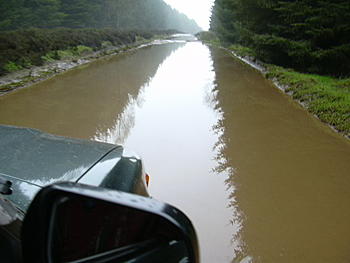 Click image for larger version

Name:	DSCN2031.JPG
Views:	227
Size:	84.0 KB
ID:	1238313