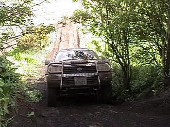Click image for larger version

Name:	Bob and Wayne - climb between trees2.jpg
Views:	164
Size:	52.9 KB
ID:	1238416
