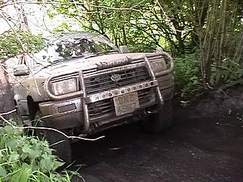 Click image for larger version

Name:	Bob and Wayne - climb between trees7 - success.jpg
Views:	171
Size:	48.2 KB
ID:	1238421