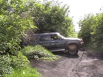 Click image for larger version

Name:	Paul - climb between trees2 - success.jpg
Views:	173
Size:	49.6 KB
ID:	1238432