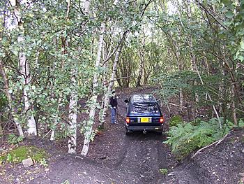 Click image for larger version

Name:	Dcp_0002.jpg
Views:	158
Size:	187.8 KB
ID:	1239462