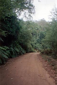 Click image for larger version

Name:	Aussie 050.jpg
Views:	177
Size:	104.8 KB
ID:	1242186