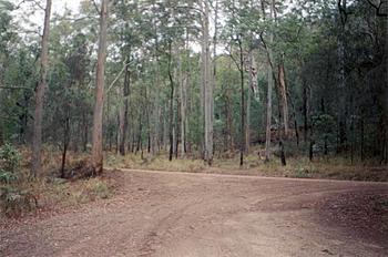 Click image for larger version

Name:	Aussie 055.jpg
Views:	176
Size:	128.3 KB
ID:	1242187