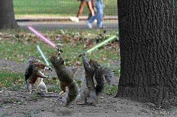 Click image for larger version

Name:	jedi__squirrels.jpg
Views:	126
Size:	28.1 KB
ID:	1245987