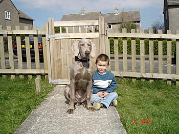 Click image for larger version

Name:	Mylux 026.jpg
Views:	169
Size:	148.1 KB
ID:	1245995