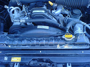 Click image for larger version

Name:	DSC00310.jpg
Views:	121
Size:	281.0 KB
ID:	1246098